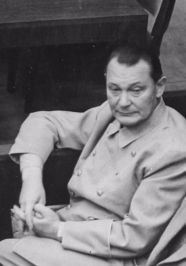 Chân dung nhân vật số 2 của Đức quốc xã sau trùm phát xít Hitler - Hình 7 Chan dung nhan vat so 2 cua Duc quoc xa sau trum phat xit Hitler-Hinh-7