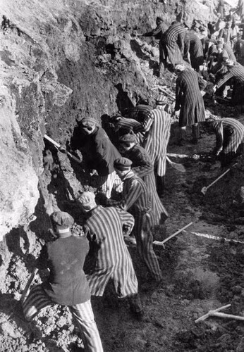 Hitler còn tàn bạo với cả người đồng tính, khuyết tật - Hình 11 Hitler con tan bao voi ca nguoi dong tinh, khuyet tat-Hinh-11