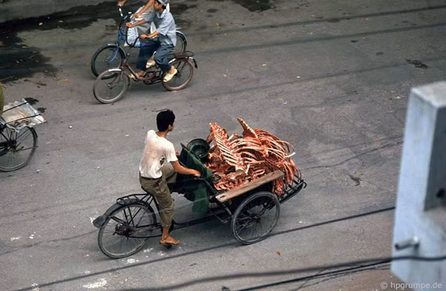 Ảnh đời thường gần gũi của Hà Nội những năm 1990 - Hình 2 Anh doi thuong gan gui cua Ha Noi nhung nam 1990-Hinh-2