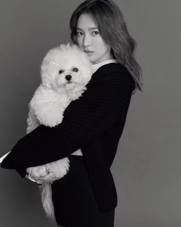 Song Hye Kyo lại xuất hiện với bộ ảnh thời trang sành điệu - Hình 4 Song Hye Kyo lai xuat hien voi bo anh thoi trang sanh dieu-Hinh-4
