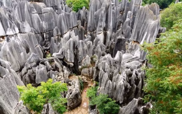 Ngắm Hoa quả sơn bối cảnh nơi Tôn Ngộ Không chào đời - Hình 3 Ngam Hoa qua son boi canh noi Ton Ngo Khong chao doi-Hinh-3