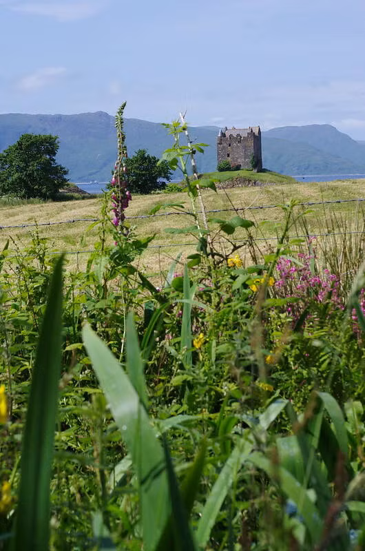 Vẻ đẹp ma mị của lâu đài cổ bị bỏ hoang ở Scotland Ve dep ma mi cua lau dai co bi bo hoang o Scotland