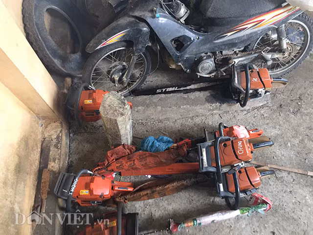 Điều tra vụ phá rừng nghiến nghiêm trọng tại rừng phòng hộ ở Bắc Kạn - Hình 3 Dieu tra vu pha rung nghien nghiem trong tai rung phong ho o Bac Kan-Hinh-3