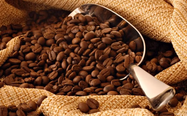 Giá cà phê hôm nay 1/10: Giá đang đi ngang, vẫn dưới 44.000 đồng/kg - Hình 2 Gia ca phe hom nay 1/10: Gia dang di ngang, van duoi 44.000 dong/kg-Hinh-2