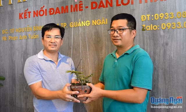 Phi vụ kinh điển, giò lan phi điệp đột biến mua 13 triệu bán 580 triệu Phi vu kinh dien, gio lan phi diep dot bien mua 13 trieu ban 580 trieu