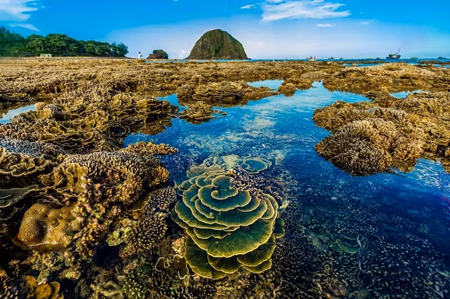 San ho no hoa tren can o Phu yen-Hinh-5