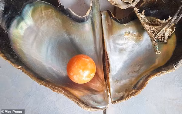 Sau khi thông tin của Kodchakorn xuất hiện trên mạng, đã có một vài người hỏi mua và đưa một mức giá tốt, trong đó có một doanh nhân người Thái đưa ra mức giá lên tới 5 triệu baht (tương đương gần 3,7 tỷ đồng).