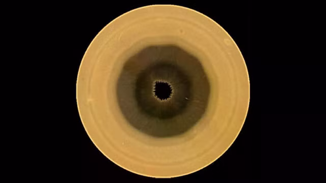 090126-mb-saturn-main.jpg