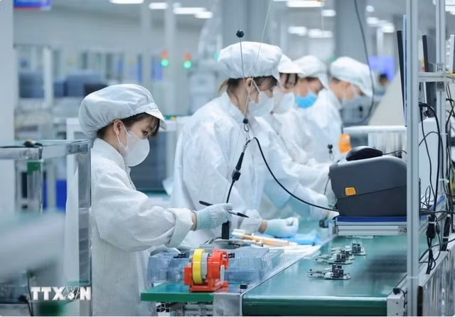 Việt Nam đã và đang triển khai chiến lược đào tạo nhân lực chất lượng cao ngành công nghiệp bán dẫn. (Ảnh: Hoàng Hiếu/TTXVN)