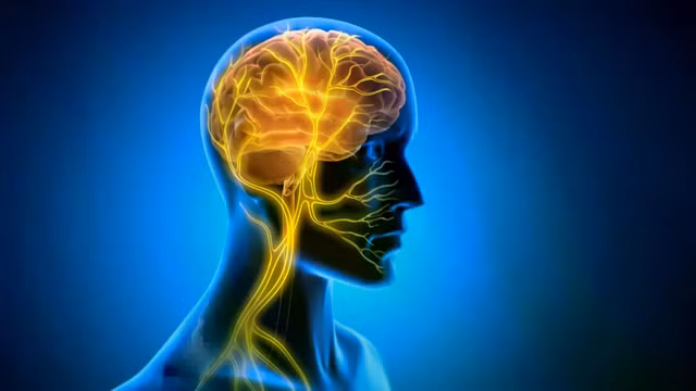 brain-vagus-nerve-stimulation.jpg