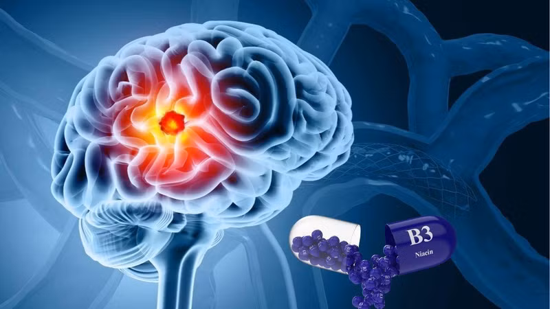 Phát hiện Vitamin B3 có tiềm năng hỗ trợ điều trị ung thư não glioblastoma