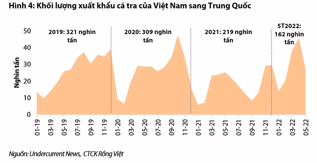 Nganh thuy san: Xuat khau sang Trung Quoc la dong luc tang nam sau?-Hinh-4