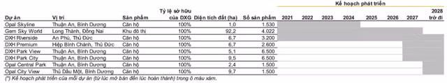 Gem Sky World va Datxanh Homes Riverside 'cuu canh' DXG nam 2024?-Hinh-2