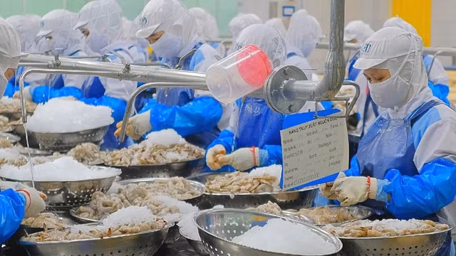 Thực phẩm Sao Ta có thể lãi 300 tỷ đồng năm 2023 Thuc pham Sao Ta co the lai 300 ty dong nam 2023