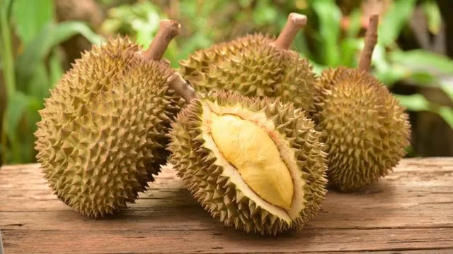 Có gì bên trong Vua sầu riêng 1,1 tỷ đồng? Co gi ben trong Vua sau rieng 1,1 ty dong?