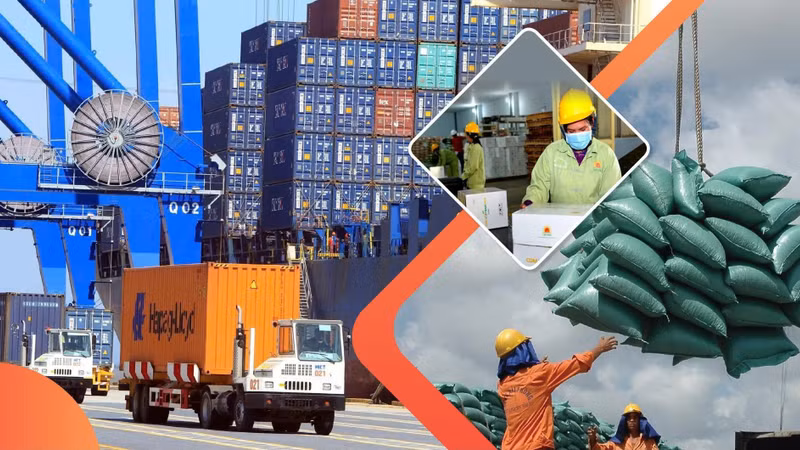 [SPOTLIGHT] Nhập siêu hơn 20 tỷ USD: Chính phủ gấp rút tháo gỡ vướng mắc xuất khẩu