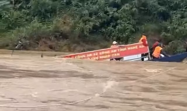 chim-thuyen.jpg