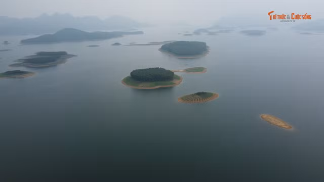 dji-0409.jpg