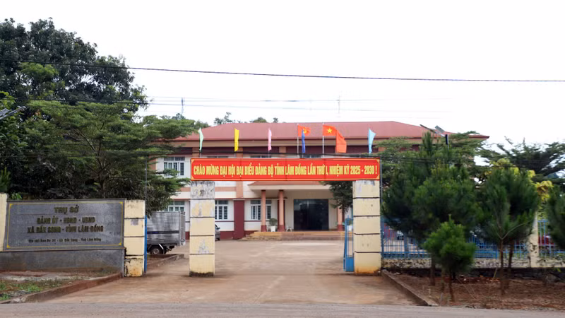 Xã Đắk Song.