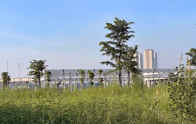 Dự án Hinode Royal Park sai phạm những gì? - Hình 14 Du an Hinode Royal Park sai pham nhung gi?-Hinh-14
