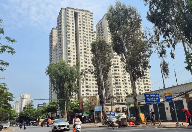 Cận cảnh dự án CT6 Kiến Hưng của đại gia Lê Thanh Thản - Hình 15 Can canh du an CT6 Kien Hung cua dai gia Le Thanh Than-Hinh-15