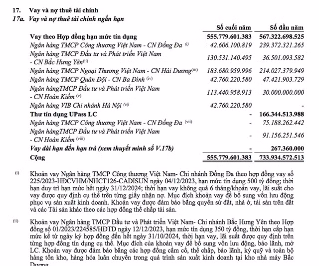 CADI-SUN thế chấp nhà chủ tịch để vay tiền làm ăn ra sao? CADI-SUN the chap nha chu tich de vay tien lam an ra sao?