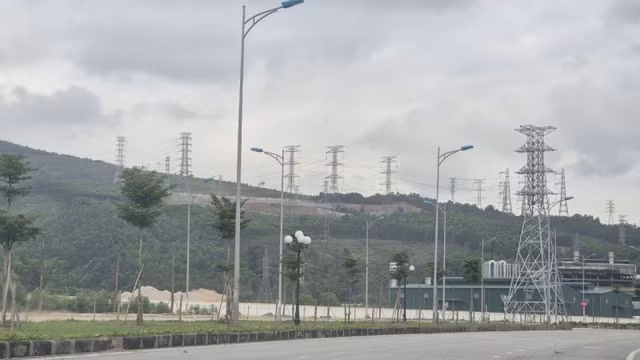 Công ty AIT bị phạt vì phá 2,61ha rừng tự nhiên - Hình 2 Cong ty AIT bi phat vi pha 2,61ha rung tu nhien-Hinh-2