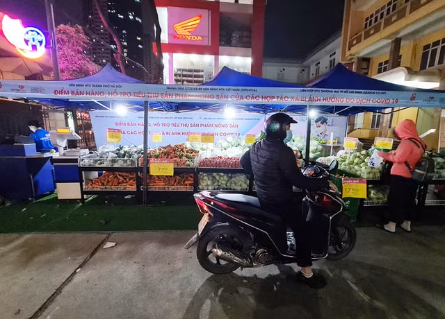 BigC, Co.opmart, Vinmart cung giai cuu nong san Hai Duong-Hinh-13