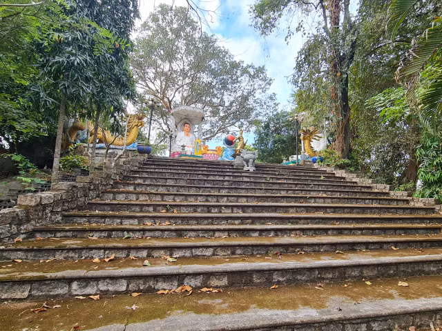 8 địa điểm du xuân đầu năm mới nhất định phải ghé thăm tại Đồng Nai - Hình 24 8 dia diem du xuan dau nam moi nhat dinh phai ghe tham tai Dong Nai-Hinh-24