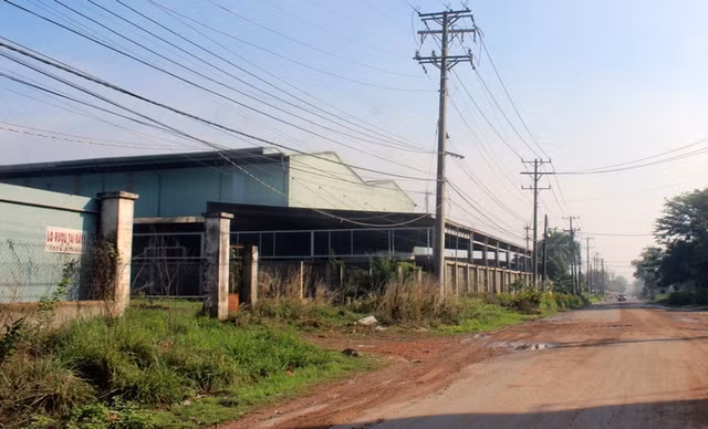 53 doanh nghiệp ở Đồng Nai sai phạm về đất đai - Hình 6 53 doanh nghiep o Dong Nai sai pham ve dat dai-Hinh-6