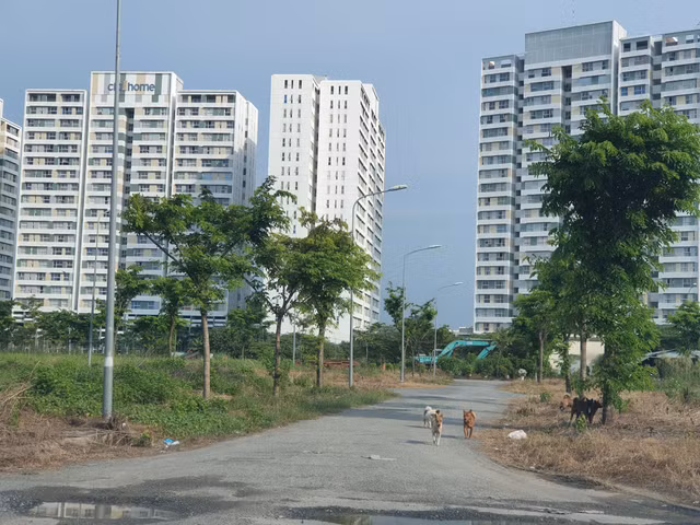 Cái phủi tay của chủ đầu tư Kiến Á sau bán hàng: Đất nền cỏ mọc, biệt thự nuôi gà, nhà phố bỏ hoang - Hình 2 Cai phui tay cua chu dau tu Kien A sau ban hang: Dat nen co moc, biet thu nuoi ga, nha pho bo hoang-Hinh-2