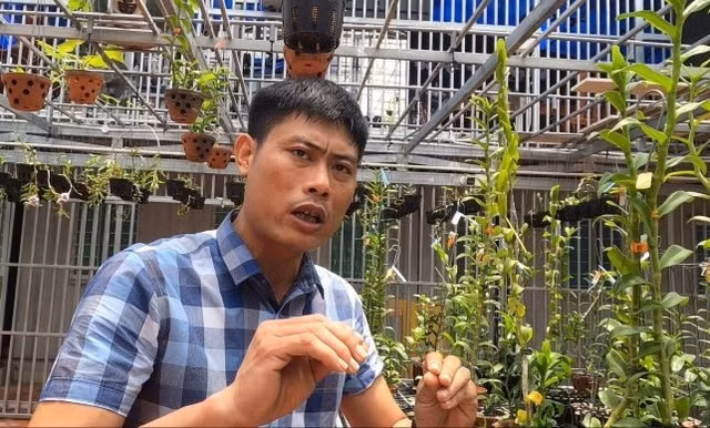 Mua 3 cay lan dot bien gene gia 32 ty, nguoi that viec that o Binh Phuoc-Hinh-2