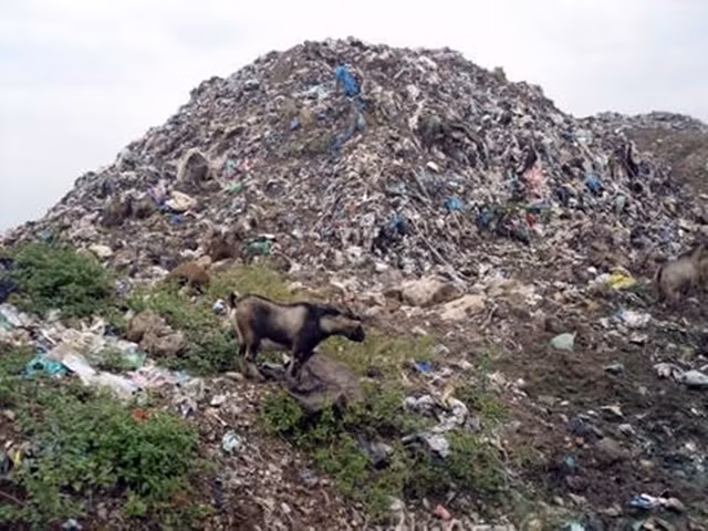 Hien trang khu dat 'vang' 2,5ha tung la bai rac Dong Ngo