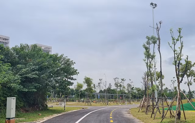 Cận cảnh tiến độ công trình công viên lớn nhất quận Nam Từ Liêm - Hình 13 Can canh tien do cong trinh cong vien lon nhat quan Nam Tu Liem-Hinh-13