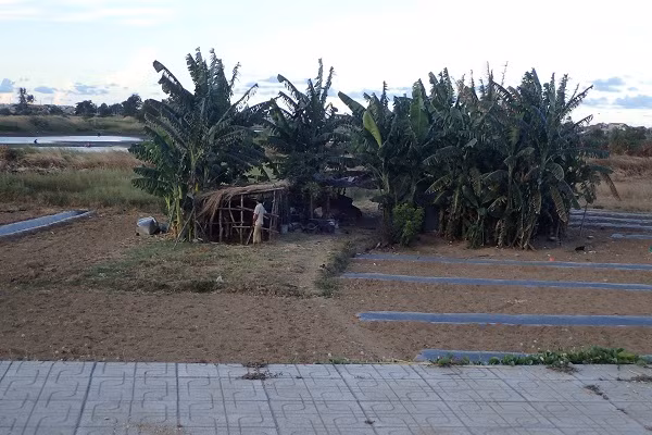 Bên trong dự án nghìn tỷ Vườn Phượng Hoàng thành bãi chăn bò ở Phú Yên - Hình 8 Ben trong du an nghin ty Vuon Phuong Hoang thanh bai chan bo o Phu Yen-Hinh-8