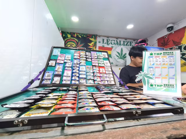 Cận cảnh cần sa bán khắp đường phố Pattaya, Thái Lan - Hình 6 Can canh can sa ban khap duong pho Pattaya, Thai Lan-Hinh-6
