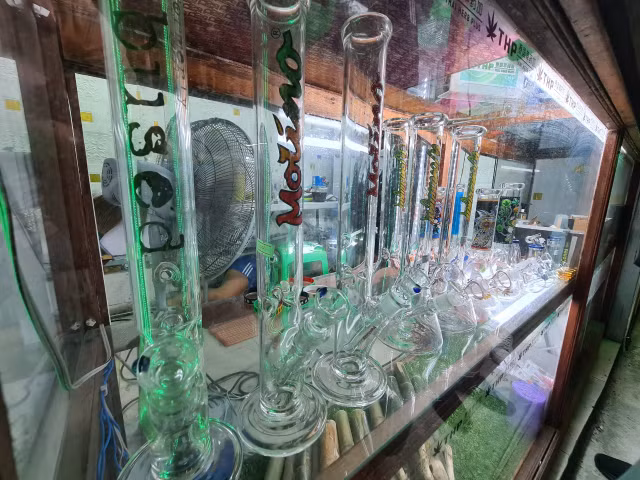 Cận cảnh cần sa bán khắp đường phố Pattaya, Thái Lan - Hình 7 Can canh can sa ban khap duong pho Pattaya, Thai Lan-Hinh-7