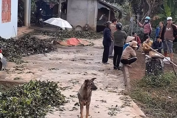 Clip bat giu hung thu ngao da chem chet vo va 4 nguoi o Thai Nguyen-Hinh-7