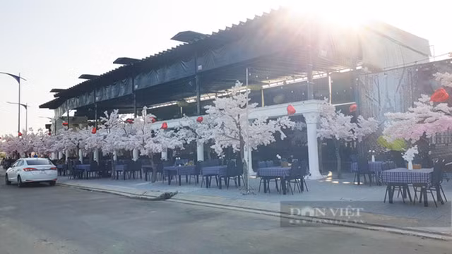 Cận cảnh nhà hàng Sân Bay rộng 1.000m2 xây trên đất lúa ở Cần Thơ - Hình 9 Can canh nha hang San Bay rong 1.000m2 xay tren dat lua o Can Tho-Hinh-9