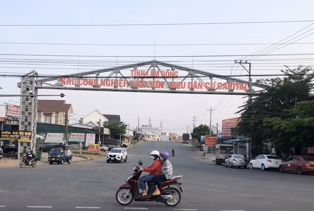 Cong ty Dong Do 1 dinh hang loat sai pham-Hinh-2