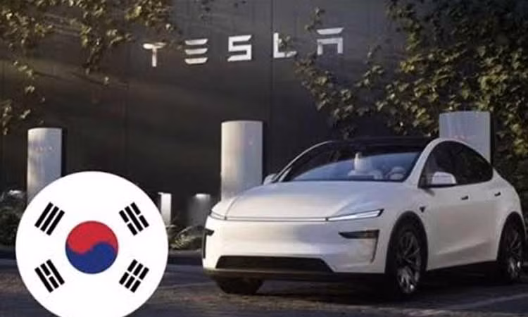 Không phải Hyundai hay Kia, Tesla Model Y mới là ôtô bán chạy nhất Hàn Quốc