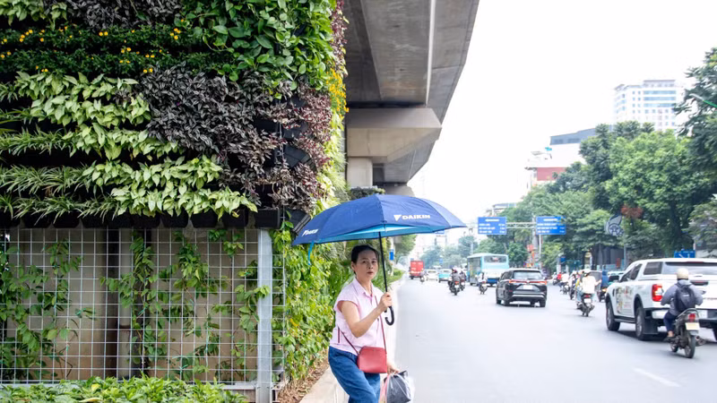 Hà Nội khoác áo xanh cho những công trình giao thông