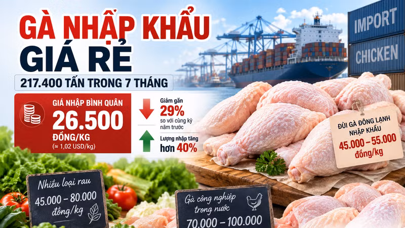 [INFOGRAPHIC] 7 THÁNG ĐẦU NĂM NHẬP KHẨU 214.400 TẤN THỊT VÀ PHỤ PHẨM GIA CẦM