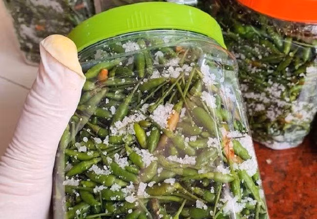 Ớt gió vùng cao có giá cao gấp nhiều lần ớt thường vì sao?