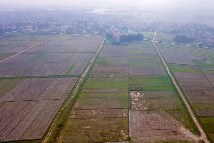 Nhưng do quy định của pháp luật liên quan đến cấp phép cá cược, đua ngựa chưa hoàn thiện nên dự án chưa thể được triển khai.