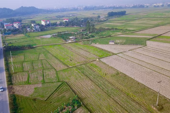 Về dự án Tổ hợp vui chơi giải trí đa năng - Trường đua ngựa (có hoạt động kinh doanh đặt cược đua ngựa) có tổng mức đầu tư khoảng 420 triệu đô la, đại diện UBND thành phố Hà Nội cho biết, dự án đang chờ Chính phủ phê duyệt.