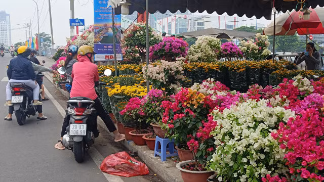 Rực rỡ hoa Tết TP HCM: Hy vọng những ngày cận Tết - Hình 6 Ruc ro hoa Tet TP HCM: Hy vong nhung ngay can Tet-Hinh-6