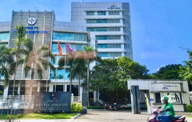 Duy nhất Cty Điện Sóng Thần tham gia và trúng gói thầu cải tạo lưới điện của Điện lực Bình Dương - Hình 2 Duy nhat Cty Dien Song Than tham gia va trung goi thau cai tao luoi dien cua Dien luc Binh Duong-Hinh-2