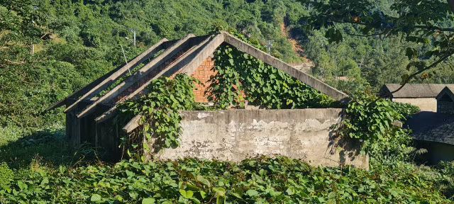Can canh loat biet thu bo hoang duoi chan nui Son Tra o Da Nang-Hinh-8