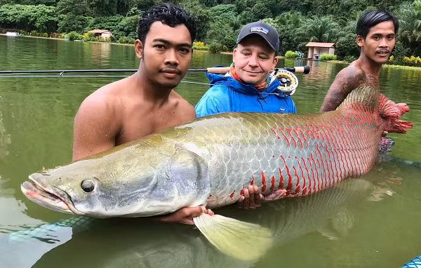 Loài 'thủy quái nước ngọt' không kém bất cứ sát thủ nào - Hình 12 Loai 'thuy quai nuoc ngot' khong kem bat cu sat thu nao-Hinh-12